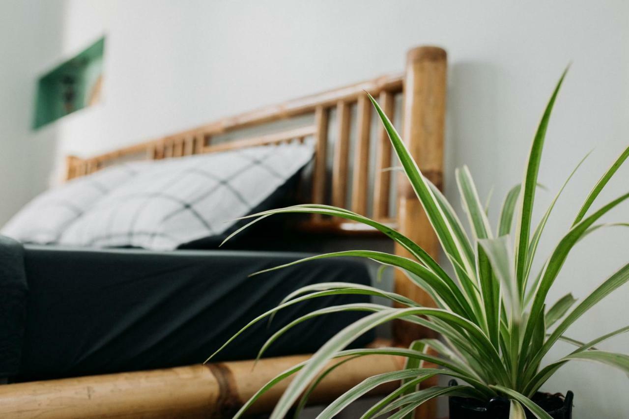 Bamboo Homestay Hue Zewnętrze zdjęcie