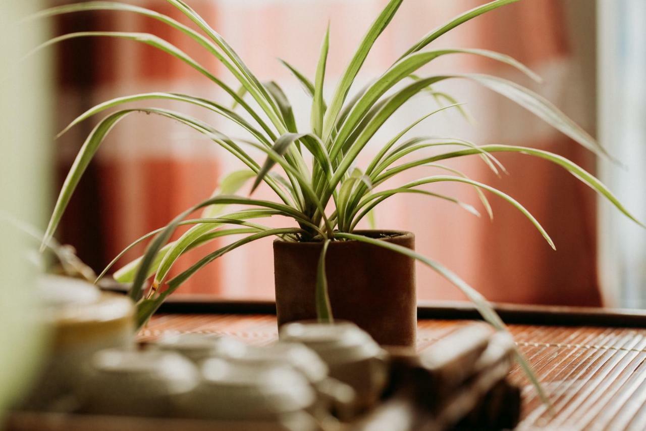 Bamboo Homestay Hue Zewnętrze zdjęcie